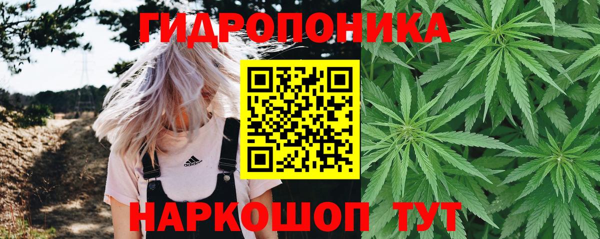 Канабис сатива  Канабис семена  Бошки марихуана THC 21%  Сегежа  Вход с VPN 